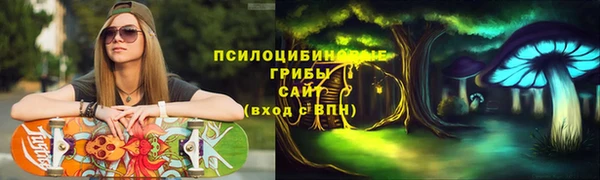 стафф Бородино