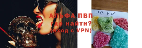 стафф Бородино