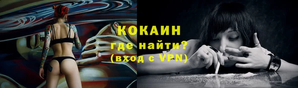 дурь Бронницы