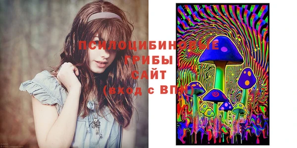 дурь Бронницы