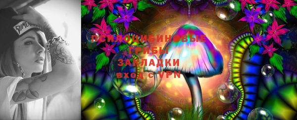 дурь Бронницы