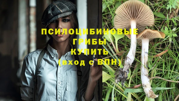 стафф Бородино
